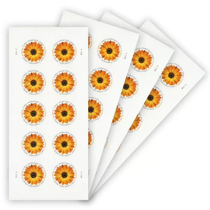 Global African Daisy Stamps(International $1.45)